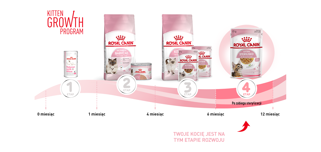 ROYAL CANIN Kitten Sterilised in jelly 12x85 g